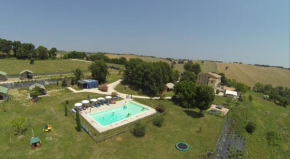 Tenuta Tredici Ulivi Senigallia